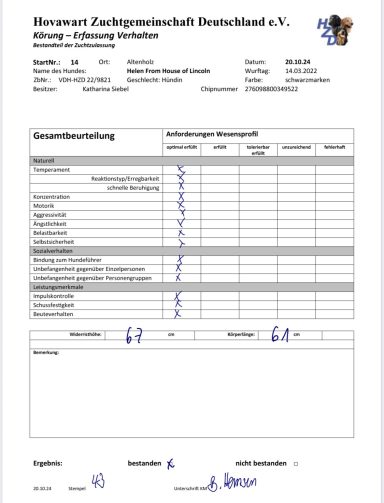 Verhalten - Körung - 20.10.2024