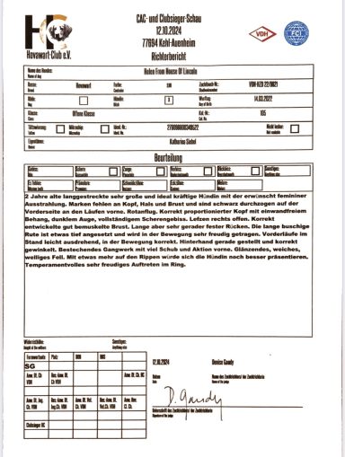 Richterbericht - Kehl-Auenheim - 12.10.2024
