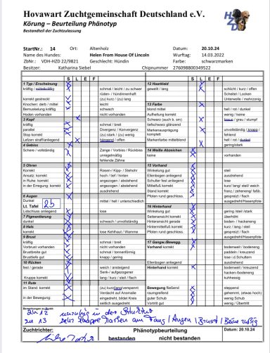 Phänotyp - Körung - 20.10.2024